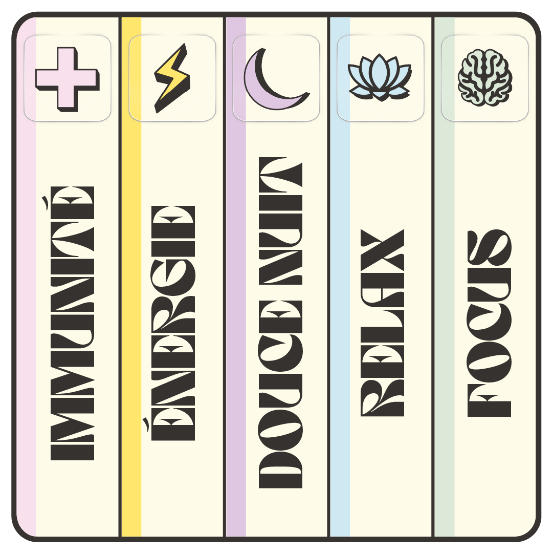 Pack Découverte